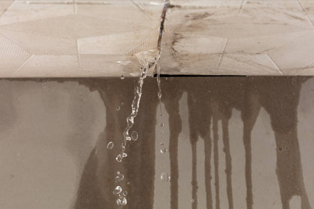 Professional Sewage Cleanup technician working in Lyburn, WV